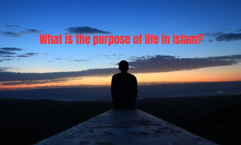 What is the purpose of life in Islam?