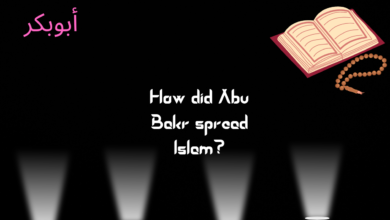 How did Abu Bakr spread Islam?