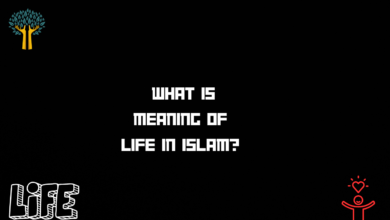 what is meaning of life in islam?