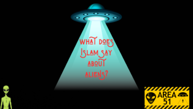 what does Islam say about aliens?