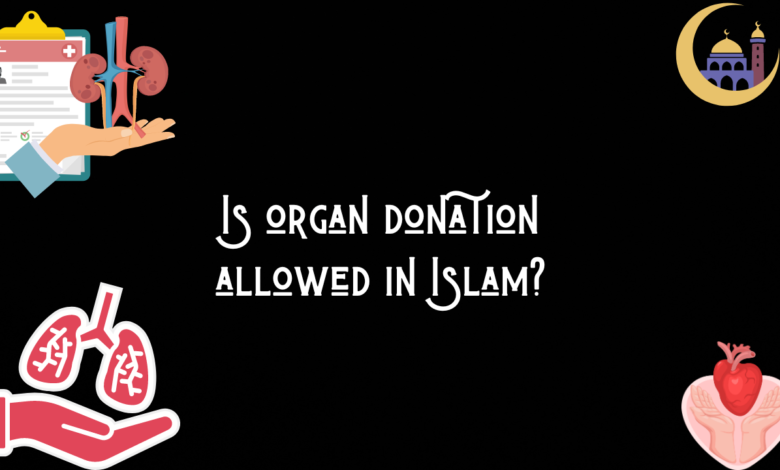 Is organ donation allowed in Islam?