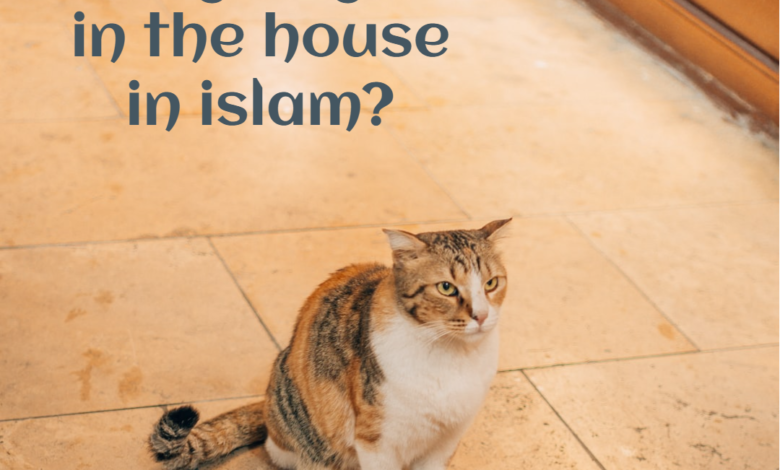 do cats bring angels in the house in islam?
