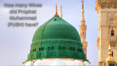 How many Wives did Prophet Muhammad (PUBH) have?