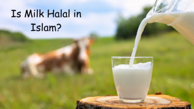 Is Milk Halal in Islam?