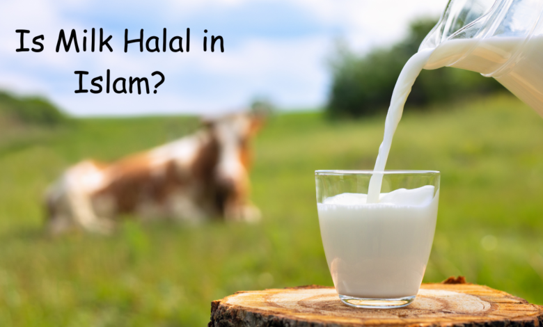 Is Milk Halal in Islam?