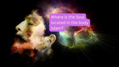 Where is the Soul located in the body Islam?