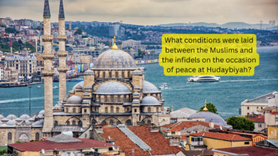 What conditions were laid between the Muslims and the infidels on the occasion of peace at Hudaybiyah?