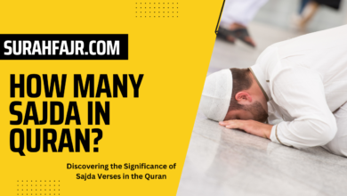 How Many Sajda In Quran?