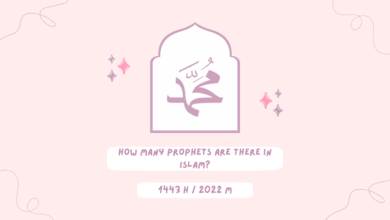 How many Prophets are there in Islam?
