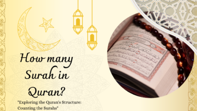 How many Surah in Quran?