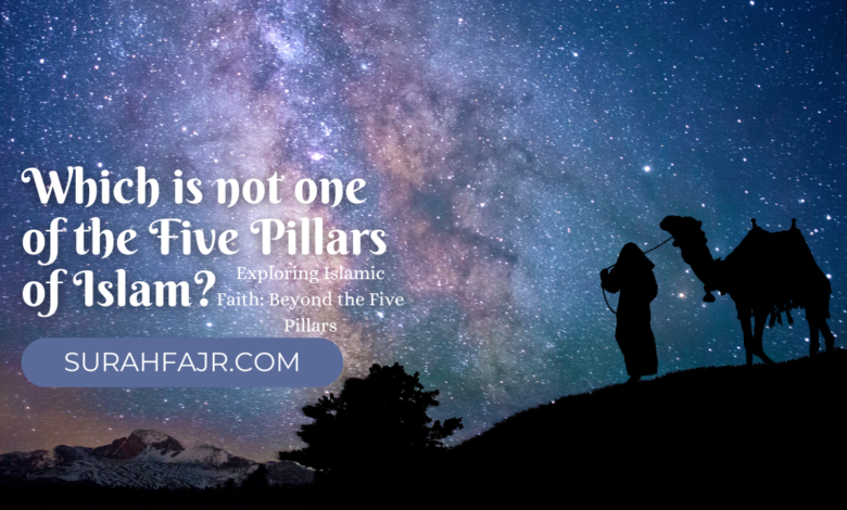Which is not one of the Five Pillars of Islam? 