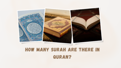 How Many Surah Are There In Quran?