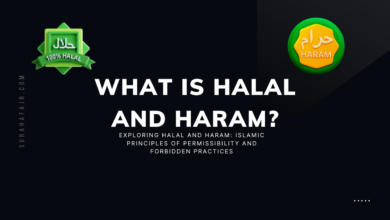 What is Halal and Haram?